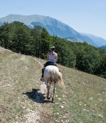 Équitation