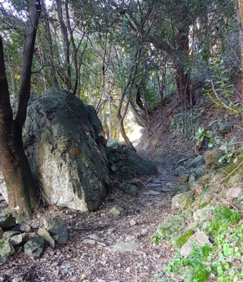 Randonnées en montagne